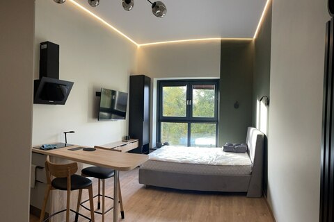1-к квартира, 24,2 м², 2/22 эт.