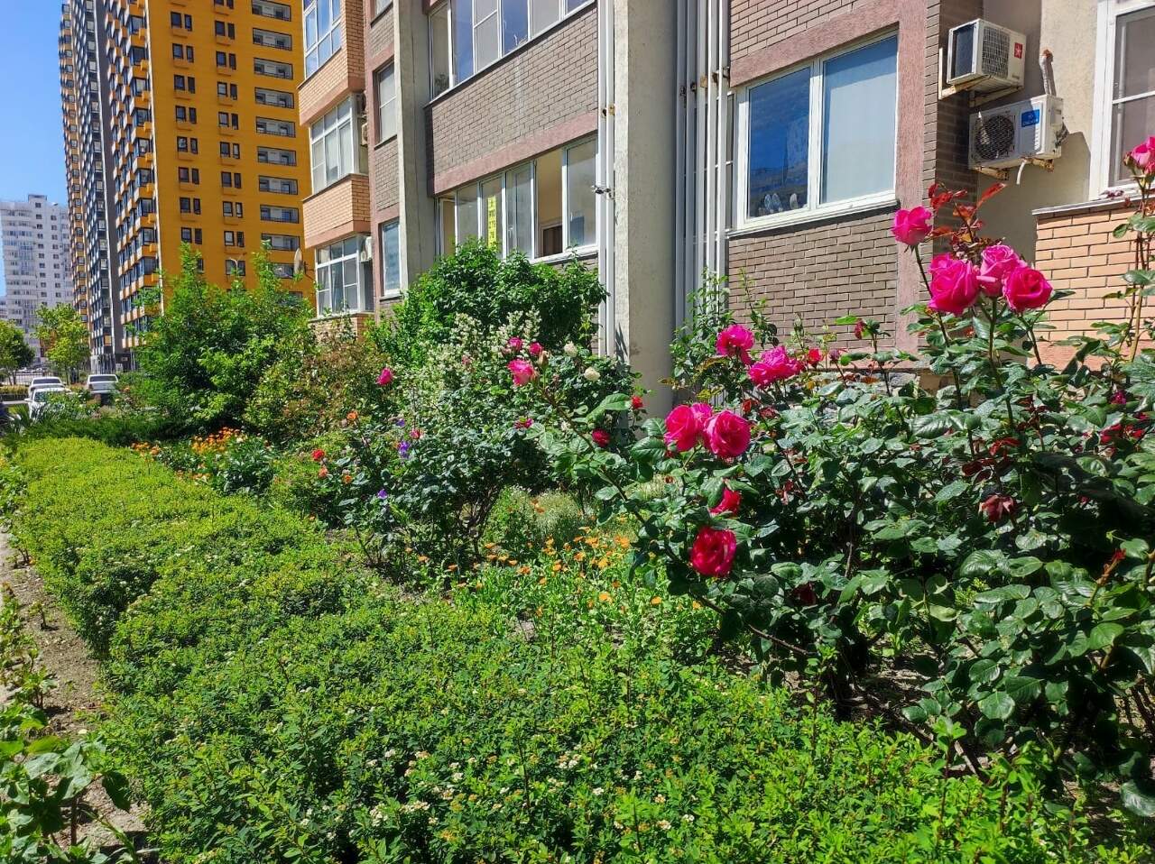 Квартира · 45.9 м² · 1 комн. — Новороссийск, Южная улица, 29