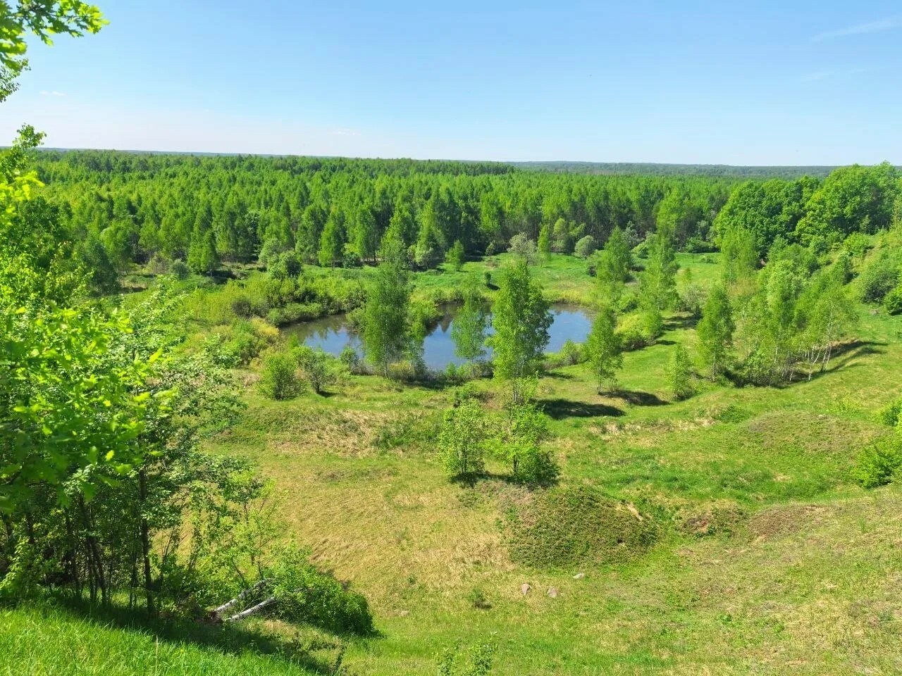 Участок — село Берендеево, 19