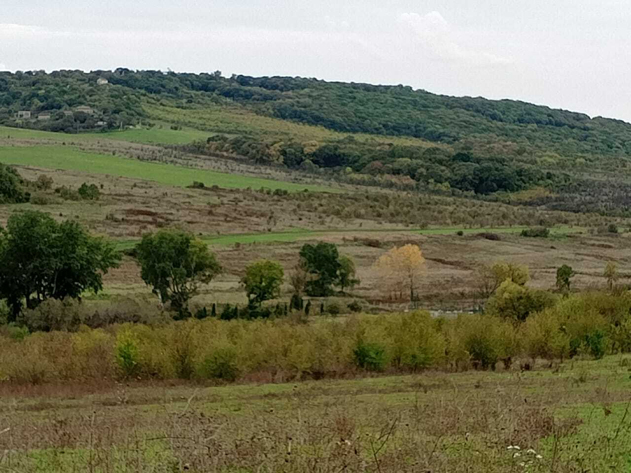 Участок · село Молдаванское