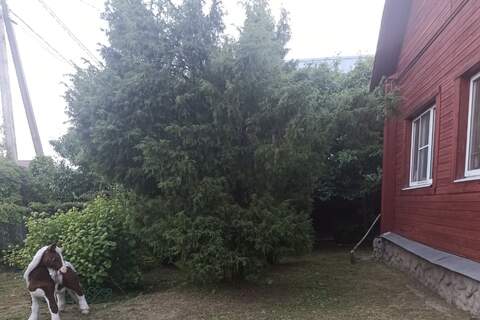 Дом, 120 м², 1 эт.
