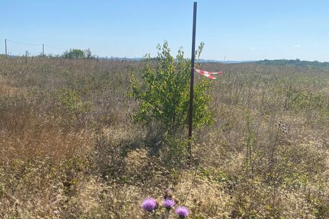 Ведение огородничества, 10 сот.