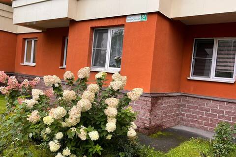 1-к квартира, 33,7 м², 6/13 эт.