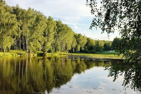 ИЖС, 9 сот.