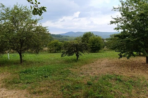 Ведение садоводства, 100 сот.