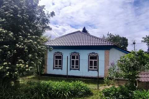 Дом, 50 м², 1 эт.