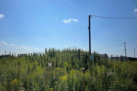 Ведение садоводства, 6 сот.