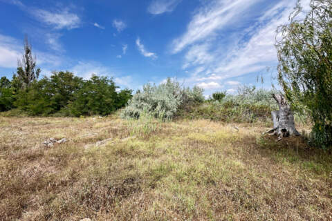 Предпринимательство, 52 сот.