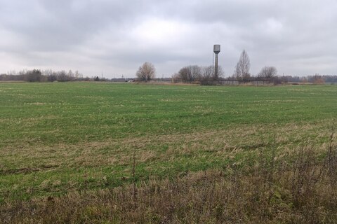 Производственная деятельность, 37,6 м²